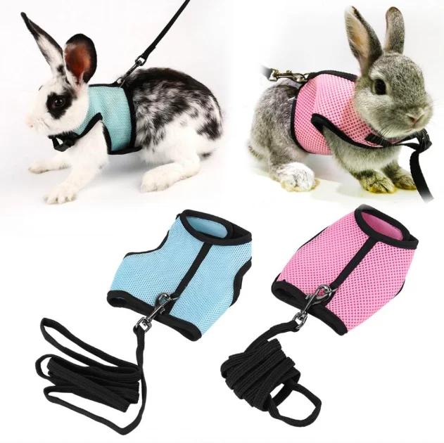 

Hamster Rabbit Harness And Leash Set Ferret Guinea Pig Small Animal Mesh Breathable Pet Walk Lead, Black, red, pink, blue