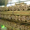 High Quality Garden Green Bamboo Poles/Canes/Stakes/Stick