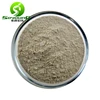 /product-detail/ginkgo-biloba-extract-62091518480.html