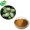 /product-detail/high-quality-organic-kola-nut-extract-powder-62100029309.html