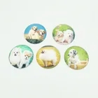 2019 new style Custom souvenir custom round fridge magnet and animal dog fridge magnet