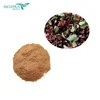 /product-detail/factory-supply-sichuan-pepper-extract-red-sichuan-pepper-62081880099.html