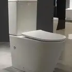 White Top Dual Flush 3/6 Liter Two-Pcs Wash Down P-trap 180mm/S-250mm Australia design toilet SA-2138