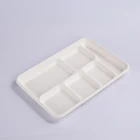 Biodegradable Bagasse Pulp Molded Food Tray