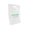 Custom Logo Printing on En13432 100% OXO Biodegradable Cornstarch Based Plastic Carrier Shopping Bag Women