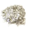 high stability transparent mica flake