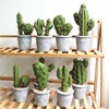 /product-detail/small-artificial-plant-succulent-potted-cactus-for-desk-decoration-room-ornament-62075076736.html
