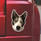 Outdoor Usage Pvc Car Door Magnet Bumper Sticker