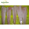/product-detail/supply-frozen-pacific-hake-interleaved-block-pollock-pacific-hake-fillets-62083354106.html