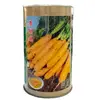 200G New crops Daucus carota yellow carrot root seeds for planting