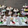 /product-detail/12-pieces-cake-stands-cupcake-holder-fruits-dessert-display-plate-white-for-baby-shower-wedding-birthday-party-celebration-62081357510.html