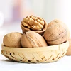 /product-detail/china-original-185-raw-whole-walnuts-in-shell-62096700011.html