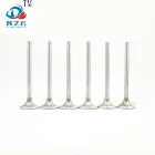 Original Genuine Engineering Rail Marine Truck Machinery Diesel Engine Parts 3035110 Exhaust Valve for Cummins K19/K38