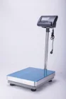 platform industrial digital electronic weighing scale 500kg