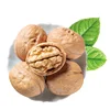 Natural Organic Walnuts For Wholesale, dried walnut in shell