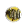 sell canned sardine fish in oil wholesale middle eastern food