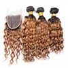 Wholesale T1b 27 wet and wavy ombre coloreed indian human hair weave bundles and closure