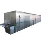 individual quick freezing equipment iqf freezer tunnel