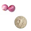 /product-detail/dry-spring-extract-natural-onion-powder-free-sample-62080152641.html