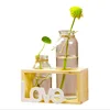 /product-detail/home-artificial-desktop-decoration-tube-buld-glass-planter-glass-vase-with-metal-stand-pots-planter-62104128306.html