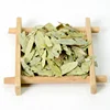 Natural Clean Sliming Herb Dried Senna Leaf Tea For Constipation