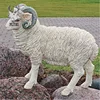 /product-detail/garden-decoration-life-size-sheep-resin-animal-figurines-62079432028.html