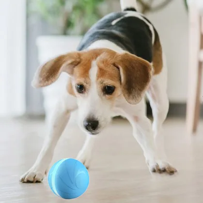 wicked ball dog toy