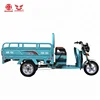 EEC LED Light 800W 3 Wheel Small Electric Cargo Tricycle For Farm Use Tricycle Vehicle