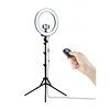 RL18 55W 5500K 240 LED Photographic Light Dimmable Camera Photo/Studio/Phone/Video Photography Ring Light Lamp with Tripod Stand
