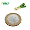 YuantaiGreen Onion Extract Powder/Allium Stalk Extract/shallot P.E