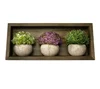 Artificial Plants for Decoration with Shelf - Artificial Plant Decor on Wooden Plant Shelf
