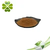 /product-detail/natural-licorice-root-extract98-glycyrrhizic-flavone-60638515377.html