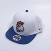 Animal motifs custom fashion basic soft hats baseball caps