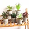 Artificial Cactus Plants Mini Succulents With Ceramic Pot For House Decoration