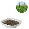 /product-detail/wholesale-organic-chia-seeds-black-62109999090.html