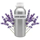Factory Wholesale Bulk Natural Essential Oil Pure lavender oil