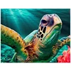 5d Diy Turtle Diamond Painting Cross Stitch Full Drill Animal Picture Diamond Embroidery Home Decor Wall Art