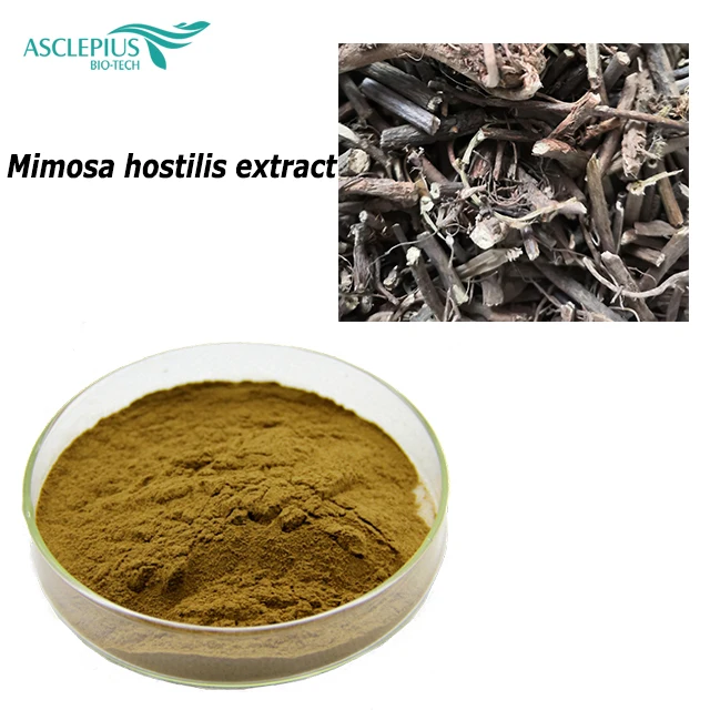 Mimosa hostilis racine écorce/mimosa hostilis poudre 1kg
