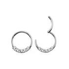 Ring Piercing Steel Nose Earsteel Piercing Ring Body Jewelry Segment Ring Piercing 316L Stainless Steel
