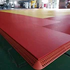 IJF Standard MMA Judo Tatami Wrestling Grappling Compressed Foam Sport Mat