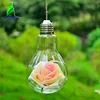 Unique hanging bulb flower vase ,glass light bulb terrarium kit decoration