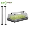 /product-detail/germination-nursury-greenhouse-plastic-microgreens-equipment-home-garden-fodder-paper-pulp-128-holes-hydroponics-seed-tray-62093683852.html