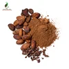 /product-detail/high-quality-pure-raw-cocoa-powder-superfood-specification-price-62086469390.html