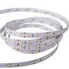 High Quality 5m Roll Epistar / Samsung Chip SMD 5630 Led Strip with 3 Years Warranty