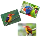Birds 3D lenticular refrigerator magnet custom designs fridge magnet for decoration