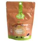 resealable PE printing seal zipper stand up food packaging pouch bag