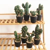 /product-detail/artificial-cactus-tropical-plants-succulents-potted-for-desk-decoration-house-decoration-62076713462.html