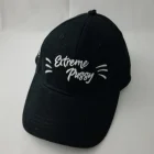 Cheap 3d Embroidered plain blank 6 panel baseball cap hat
