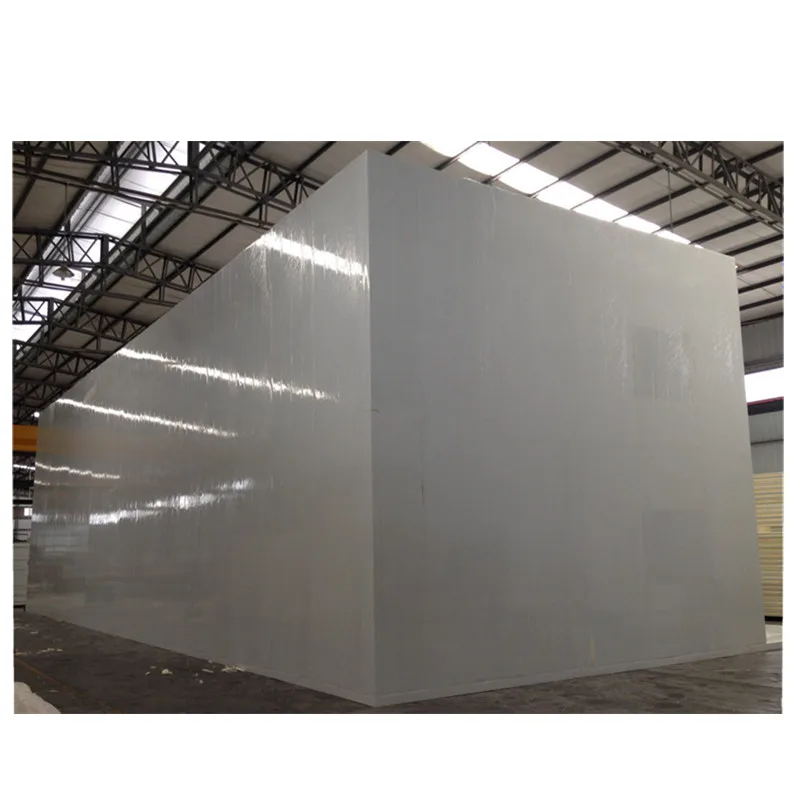 Frozen chicken processing plant refrigerator and freezers cold room project