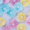 /product-detail/edible-daisies-wafer-paper-62079096171.html